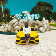 Walid Vendetta