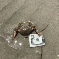 richcrab