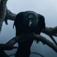 Urke Crow