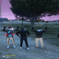 FsMzRoyal