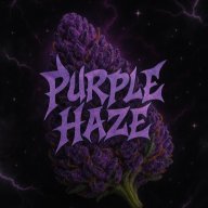 Ryze Haze