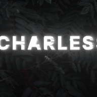 Charless Verlice