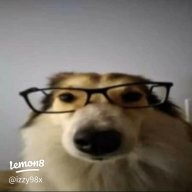 Zai