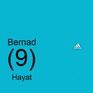 Bernad Hayat