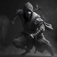 Shinobi Ninja