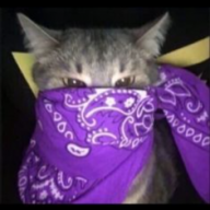 Infamous Hugo