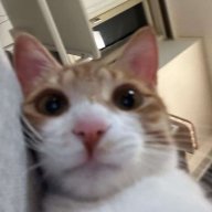 Samuel_Moos