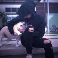 Assassin Forex