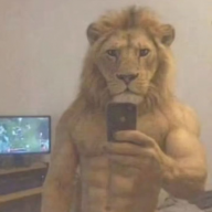 MrDragan
