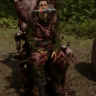 Agjent Croft