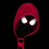 Spidey Mishra