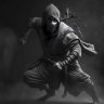 Shinobi Ninja