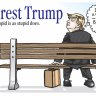 Forest Trump