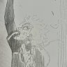 NoNo11