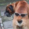 Carl Bumbum I 206404