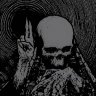 Assasin Avi