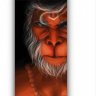 gopal0999