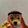 Jamal Schaf