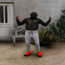 Pasha Flow