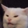 muskito