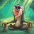 Rafiki Wild