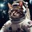 Astronaut cat