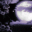 Night Rogue