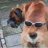 Carl Bumbum I 206404