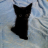 phil_