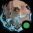 Assassin Cat | 204345