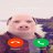 Johnn Pork