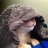 Jekov_Drem