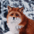 Foxy/PillsBerry