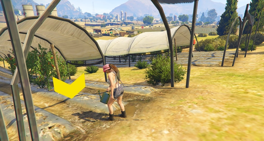 Watering beds in GTA5 RP